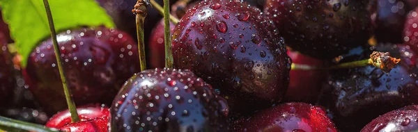 Close-up of cherries — Stock Photo, Image