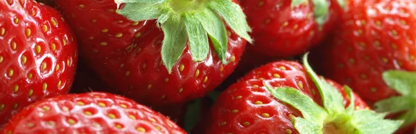 Saftige rote Erdbeeren — Stockfoto