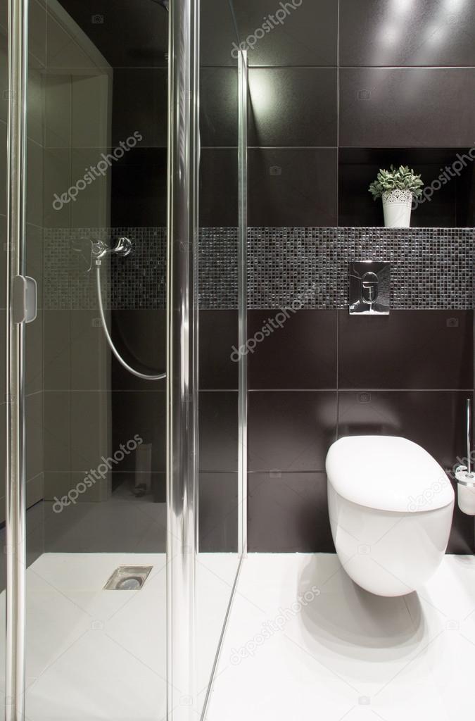 modern Shower and lavatory