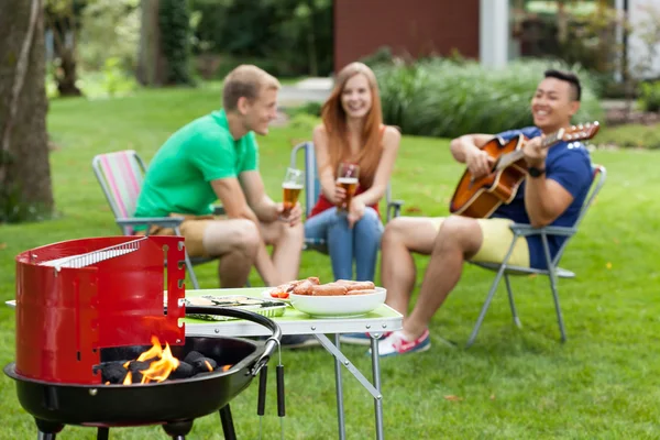 People having outdoor barbeque — Stock Photo, Image
