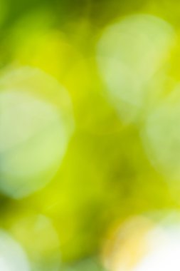 Ufuk ışık ile yeşil arka plan