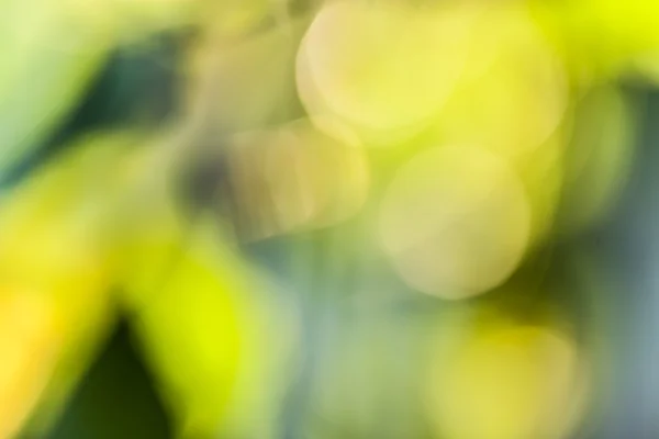 Luzes verdes e amarelas desfocadas — Fotografia de Stock