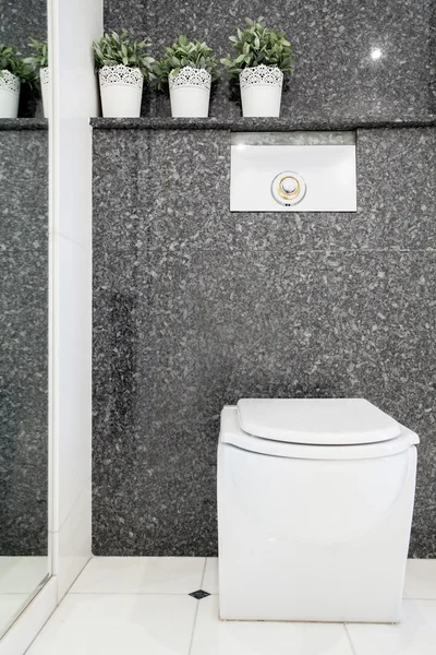 現代のトイレの洗面所 — ストック写真