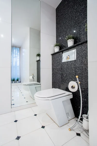 Vue verticale de l'intérieur des toilettes — Photo