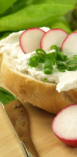 Sandwich with cottage cheese — Stock Photo, Image