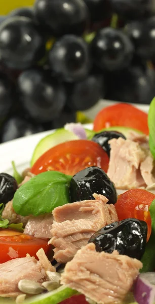 Taze ton balıklı salata — Stok fotoğraf