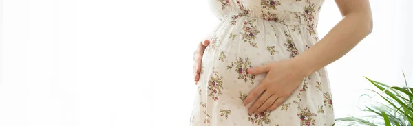 Pregnant woman belly — Stock Photo, Image