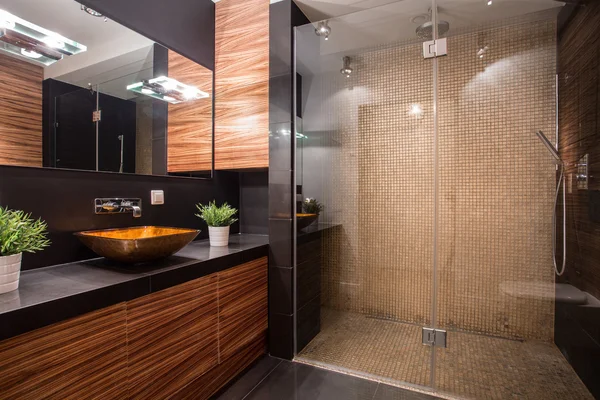 Bathroom with fancy shower — Stock Photo, Image