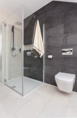 Modern tuvalet duş kabinler