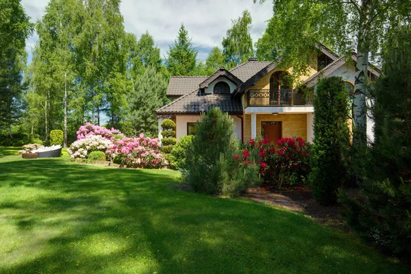 Beauty green lawn — Stock Photo, Image