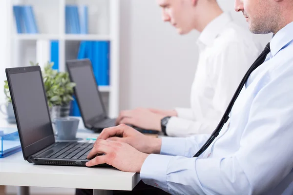 Employees Working on computers — Stock Photo, Image