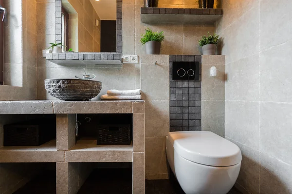 Toalett för gäst i huset — Stockfoto