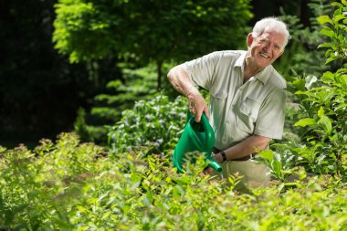 yaşlı adam sulama tesisleri