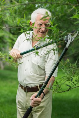 yaşlı bahçıvan ağaçları keser