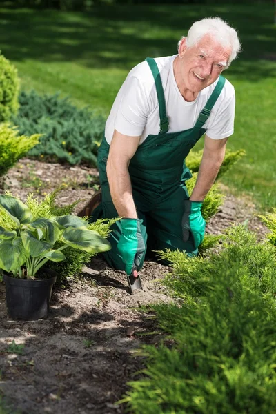 Homem idoso plantas flores — Fotografia de Stock