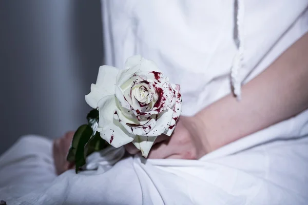 Biała Róża krwawe — Zdjęcie stockowe