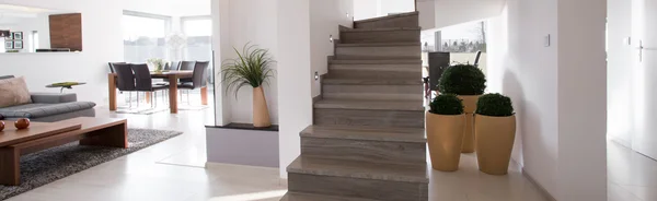 Merdivenlerde bir koridor — Stok fotoğraf