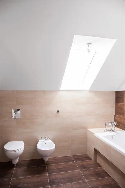 Hugh bathroom with the skylight — Stock Photo, Image