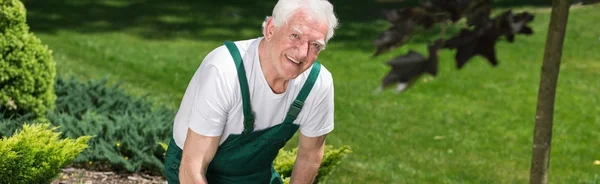 Heureux jardinier âgé travaillant — Photo