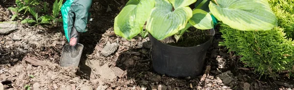 Tuinman graven met een troffel — Stockfoto