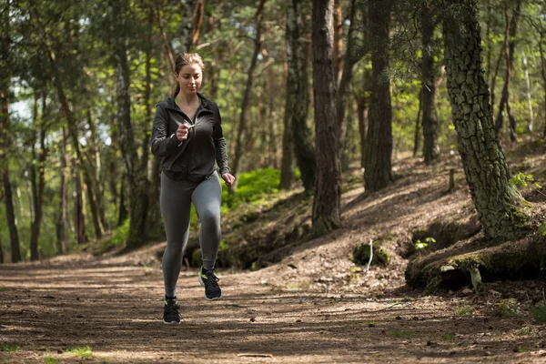 Pfad im Wald — Stockfoto