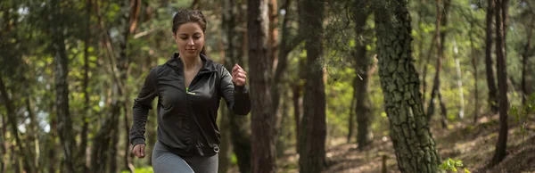 Panorama del jogging — Foto Stock