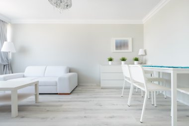 Modern düz fonksiyonel iç