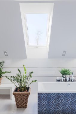Eğimli duvar banyo