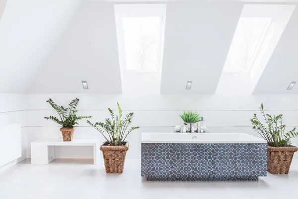 White bright bathroom — Stock Photo, Image