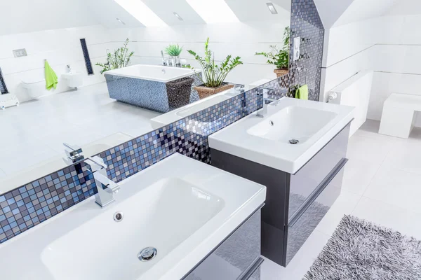 Deux vasques dans la salle de bain — Photo
