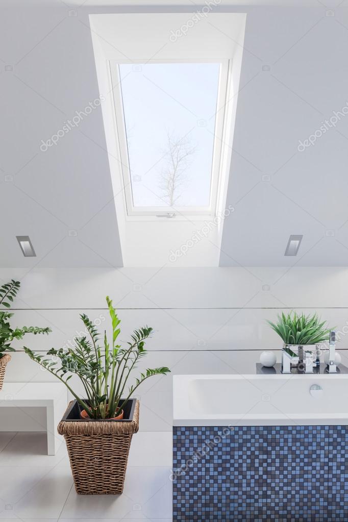 Bathroom with inclined wall