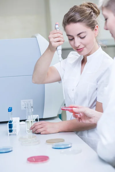 Bezig met experiment in chemie klasse — Stockfoto