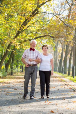 Sonbahar günü yürüyüş