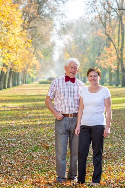 Skönhet park under hösten tid — Stockfoto