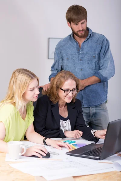 Chef und Mitarbeiter arbeiten zusammen — Stockfoto