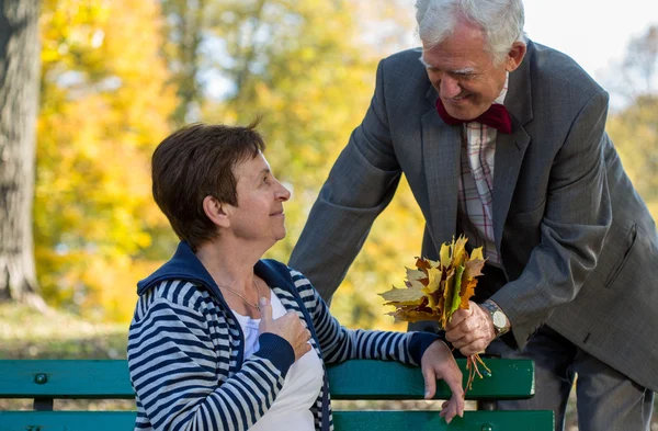 Senior couple dating in park — Stock Photo, Image