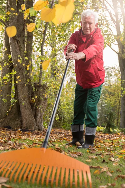 Uomo più anziano mentre lavora in giardino — Foto Stock