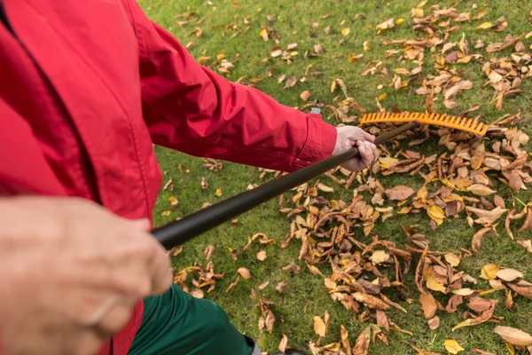 Uomo più anziano durante la pulizia del giardino — Foto Stock