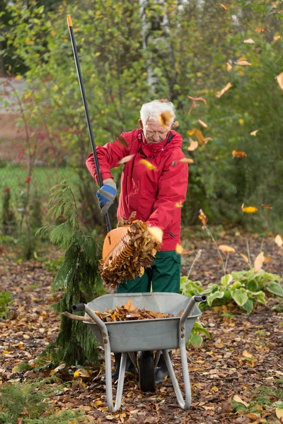 Oudere man werkt in de tuin — Stockfoto