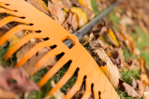 Close up van een hark en bladeren — Stockfoto