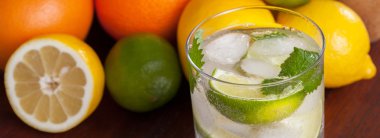 meyve tarafından çevrili mohito kokteyli