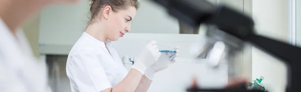 Wissenschaftler, der im Forschungslabor arbeitet — Stockfoto