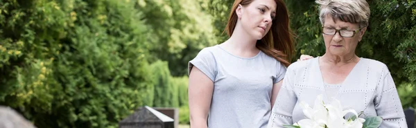 Walking in the park — Stock Photo, Image