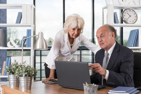 Kijken naar de laptop — Stockfoto