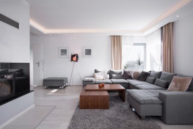 Modern interior in elegant style