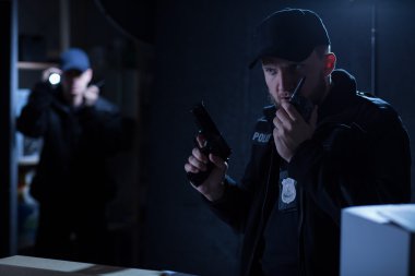 Polis şefi