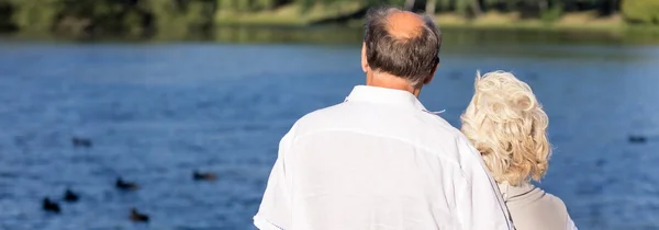 Kijkend naar het park — Stockfoto