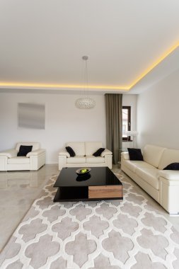 Pahalı oturma odası takımı