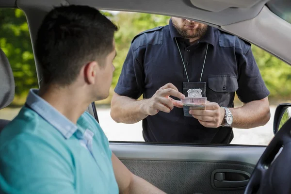 À la recherche de permis de conduire — Photo