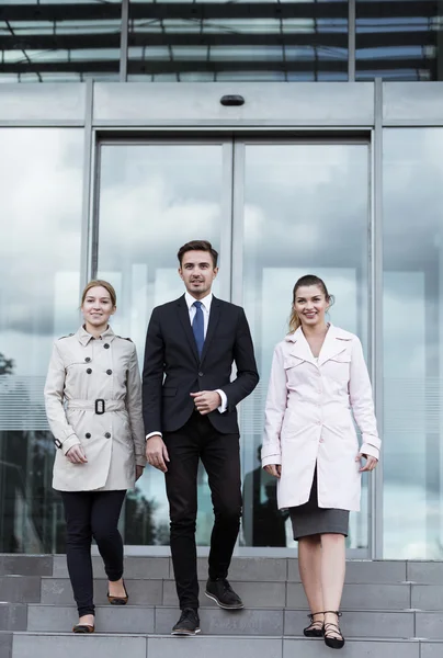 Young corporate employees — Stock Photo, Image